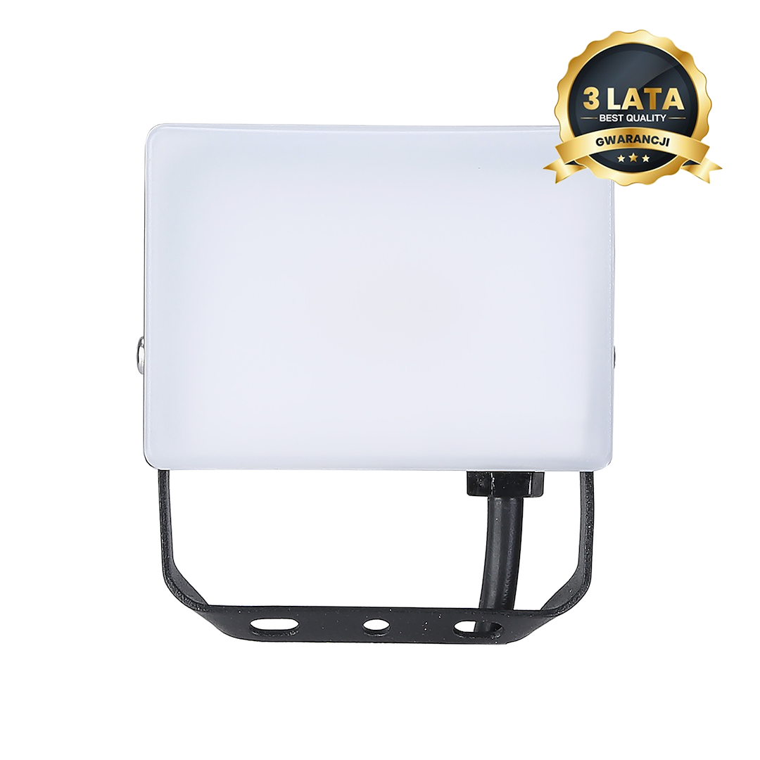 Naświetlacz LED 10W 950 lm 5000K IP65 – Eko-Light – Wysoka Jasność, Odporność, Energooszczędny